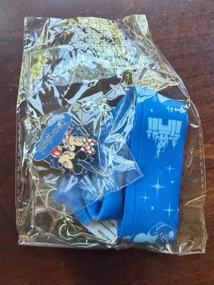 Walt Disney Travel Company Lanyard Enamel Pin and Clear Plastic Pass Holder New thumbnail 8