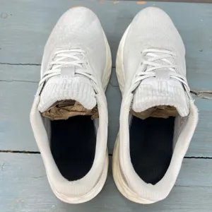 New Balance Fresh Foam Arishi v4 Light Grey White Gum Runnin Shoes WARISEG4 8.5W thumbnail 7