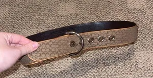 Coach Belt thumbnail 1