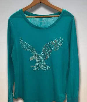 American Eagle Favorite T Teal Long‎ Sleeve Eagle Graphic Shirt Size L thumbnail 1