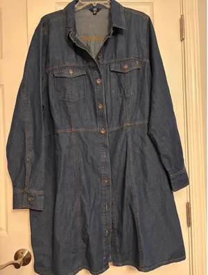 Frye Womens Denim Shirt Dress Blue Long Sleeve Button Front Seamed Waist XXL thumbnail 1