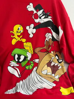 Looney Tunes Junior Girls Character Graphic Sweatshirt thumbnail 2