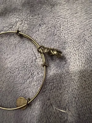 Alex and Ani Bracelet thumbnail 4