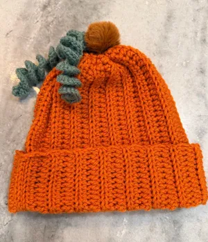 Handmade Crochet Pumpkin Beanie Orange Ribbed Hat Green Vine Pom Pom Fall thumbnail 1