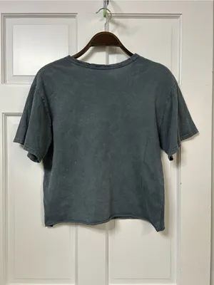 Caution To The Wind Washed Charcoal Cropped Crewneck Tee thumbnail 3