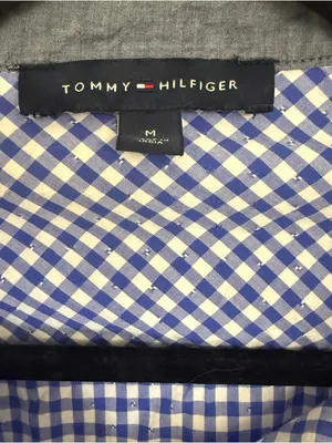 Tommy Hilfiger Blue and White Gingham Button-Down Shirt thumbnail 4