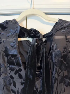 NWT Cupshe Black Sheer Velvet Top thumbnail 8