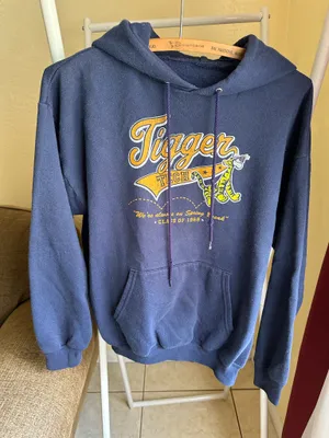 Disney’s Winnie the Pooh Tigger Tech Class of 1968 Hoodie thumbnail 1