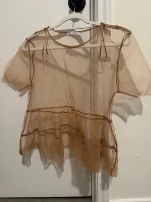 ZARA Sheer Top thumbnail 1
