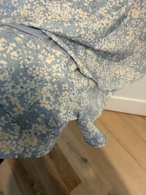 ARULA Pale Blue Floral Skort with White Print Size 1X thumbnail 6
