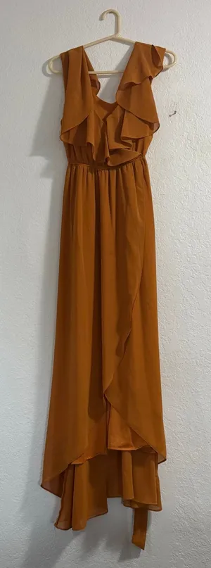 Baltic Born Katya Ruffle Maxi Dress in the amber rust color M whimsy thumbnail 1