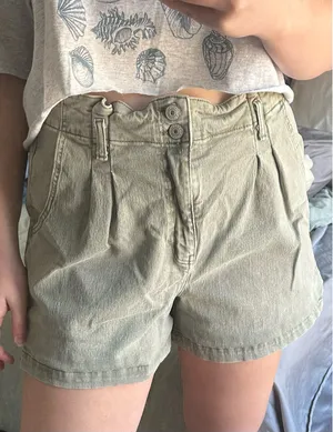 American Eagle Shorts thumbnail 1