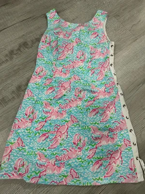 Lilly Pulitzer Dress thumbnail 1