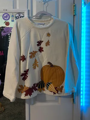 Fall Sweater Size L thumbnail 1