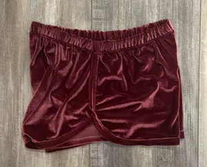 Brandy Melville Velvet Shorts thumbnail 6