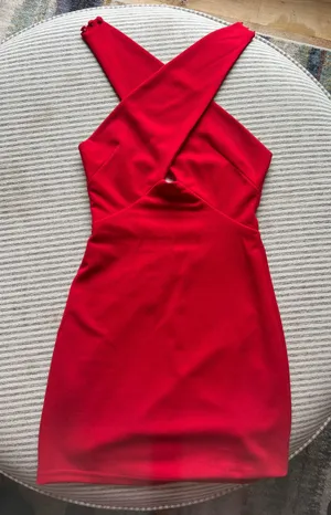 Showpo Mini Dress thumbnail 1