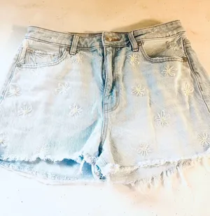 Daisy Embroidered American Eagle Shorts thumbnail 1