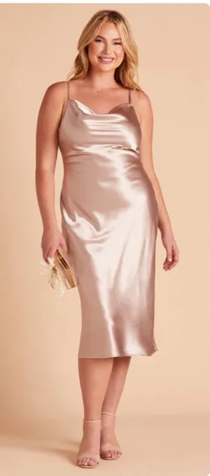 Birdy Grey‎ Lisa Shiny Satin Cowl Neck Sleeveless Midi Dress in Taupe Sz L NEW thumbnail 1