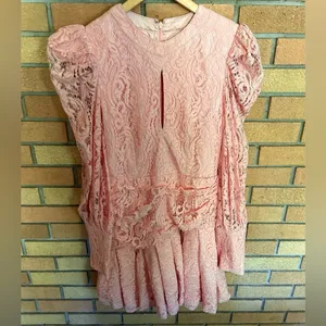 Bardot Krina Lace Pleated Long Sleeve Mini Dress in Pink Coquette Size Small thumbnail 4