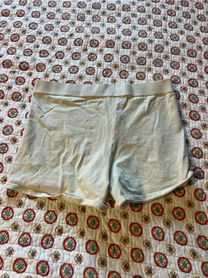 Aerie High Rise Grinch Christmas Dog Boy Shorts size large thumbnail 4