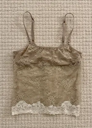 Aerie Sheer Lace Beige Tank Top thumbnail 1