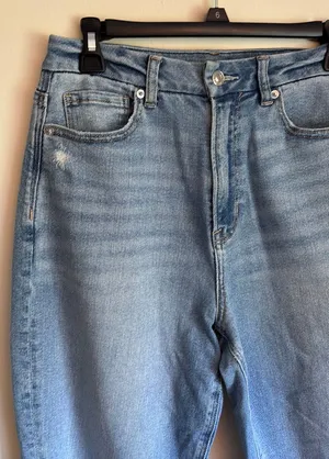 American Eagle curvy mom Jean thumbnail 1