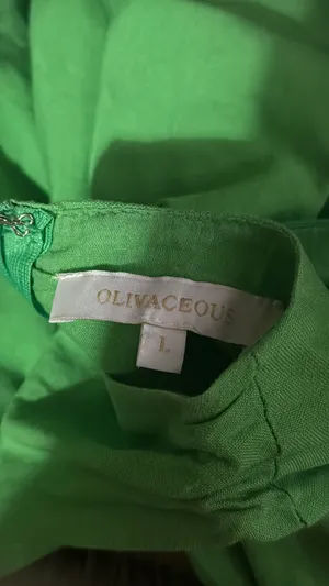 Olivaceous Mini Dress thumbnail 3