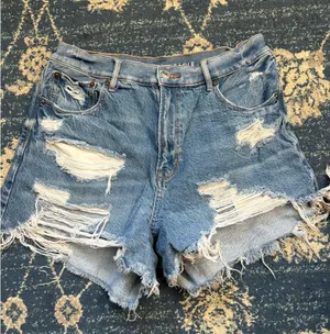 American Eagle Shorts thumbnail 1