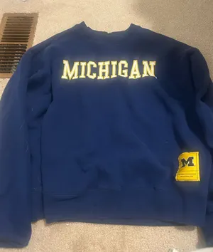 Pacsun hoodie thumbnail 1