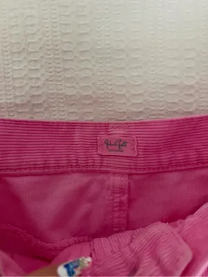 Brandy Melville Bright Pink Corduroy A-Line Mini Skirt thumbnail 2