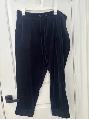 Anthropologie Saturday Sunday merida velour velvet jogger thumbnail 3