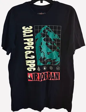 Jordan Men’s Winter Utility Mountain Side Graphic Logo Tee  thumbnail 1