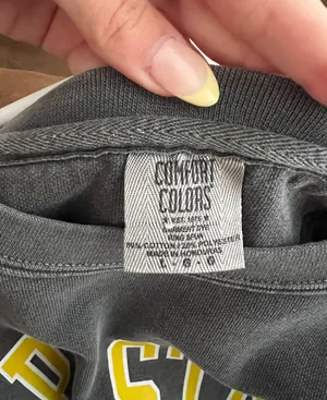 Comfort Colors AppState Sweatshirt thumbnail 3