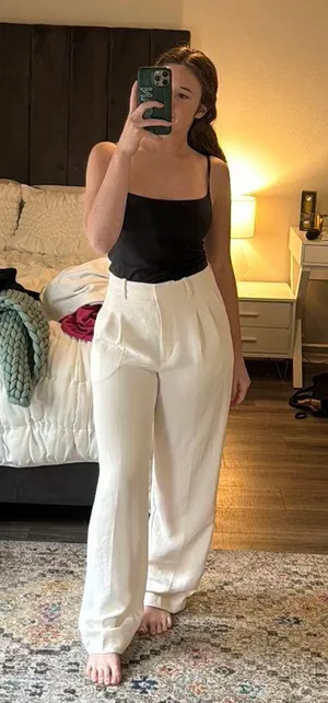 Aritzia Slouchy Dress Pant thumbnail 1