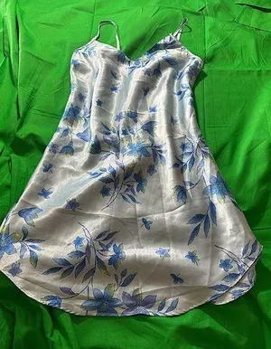 Slip Dress Blue thumbnail 1