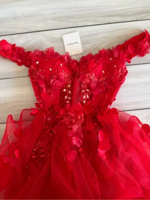 Warm Notices Floral-Bodice Short Babydoll Homecoming Dress Red NWT thumbnail 6