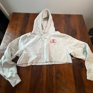 Champion Reverse Weave Cropped Hoodie Gray Purple Gold Logo Small WL659 2UC thumbnail 1