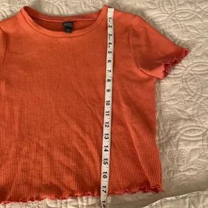 Wild Fable Cropped‎ t-shirt size medium thumbnail 4