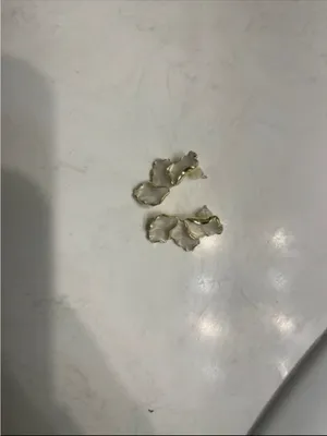 Gold-Trim White Petal Drop Earrings thumbnail 3