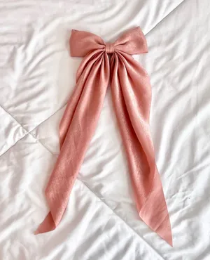 Francesca’s Hair Bow thumbnail 1