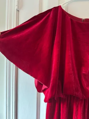 See and be Seen Velvet Dress thumbnail 4