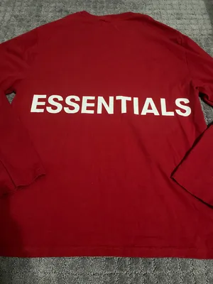 Essentials Boxy Graphic Long Sleeve T-shirt thumbnail 4