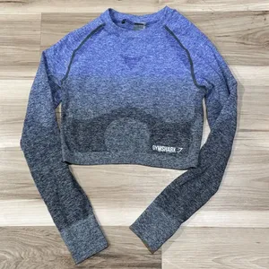 Gymshark Ombre Seamless Long Sleeve Crop Top Purple Grey Women’s Medium thumbnail 2