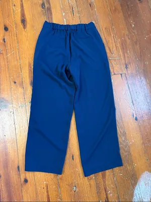 Quince Navy Pleated Dress Pants Trousers‎ size 10 thumbnail 6