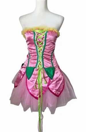 Fairy Princess Costume thumbnail 1
