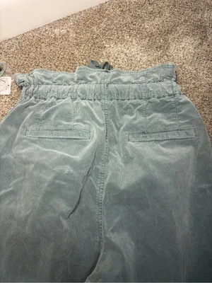 NEW! FREE PEOPLE Margate Pleated Velvet Trousers Washed Out Aqua Green Size XS thumbnail 11
