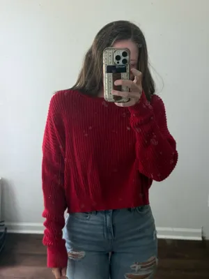 Red Cropped Wild Fable Sweater Knit Long Sleeve thumbnail 2