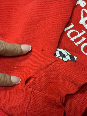 Hanes Red Crewneck Sweatshirt with Classic Label XL thumbnail 14