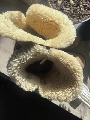 UGG Bailey Boots Button thumbnail 5