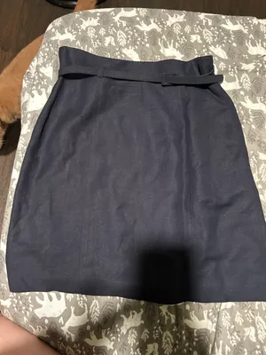 Ann Taylor Skirt thumbnail 1